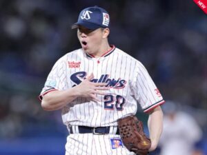 延長11回木澤見事な火消し出典ヤクルト公式サイト20250404