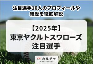 カルチャバナー