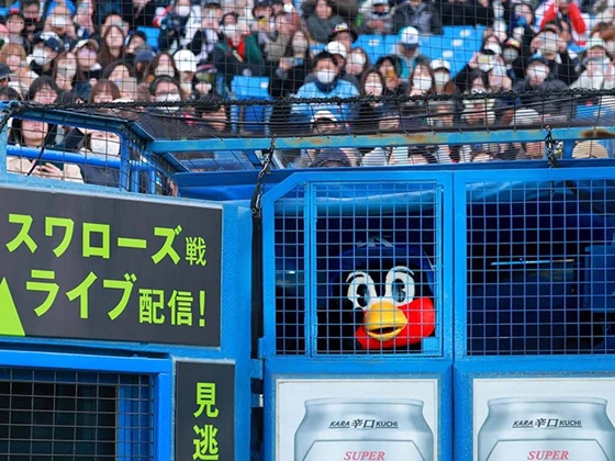 出陣式でチラ見えのつば九郎